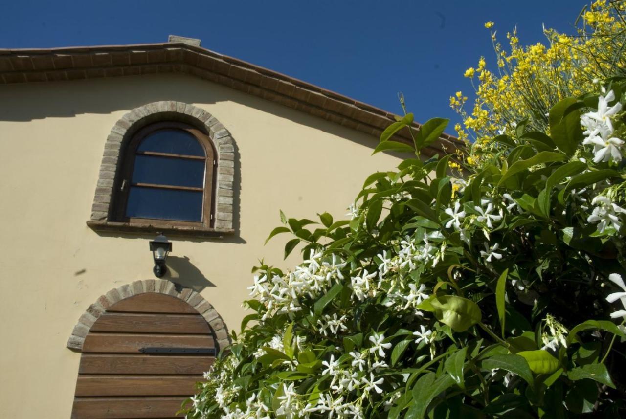 Bio Agriturismo Il Melograno Di Banditella Ristorante Alberese Exterior photo